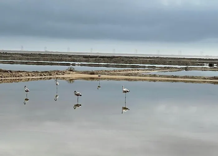 Σπίτι διακοπών Duplex Proche Mer, Avec Swimspa Terrasse, Jardin Et Barbecue